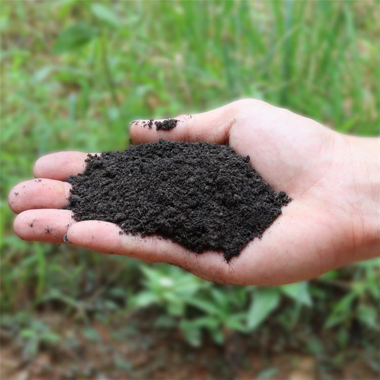 有机肥厂 家直销一手货源发酵纯猪粪