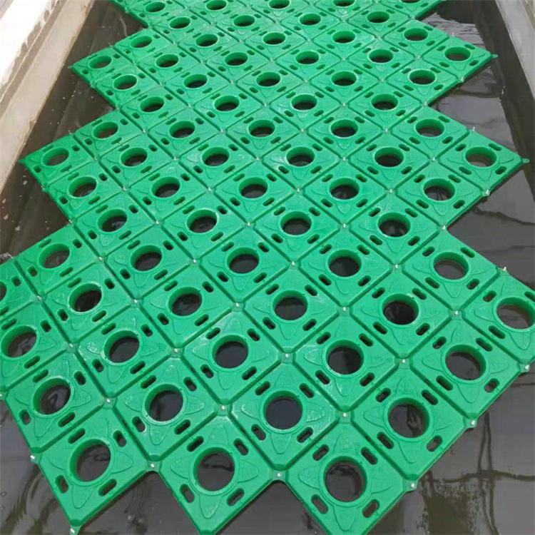 泽吾 生态浮床 人工生态浮岛报价 欢迎咨询