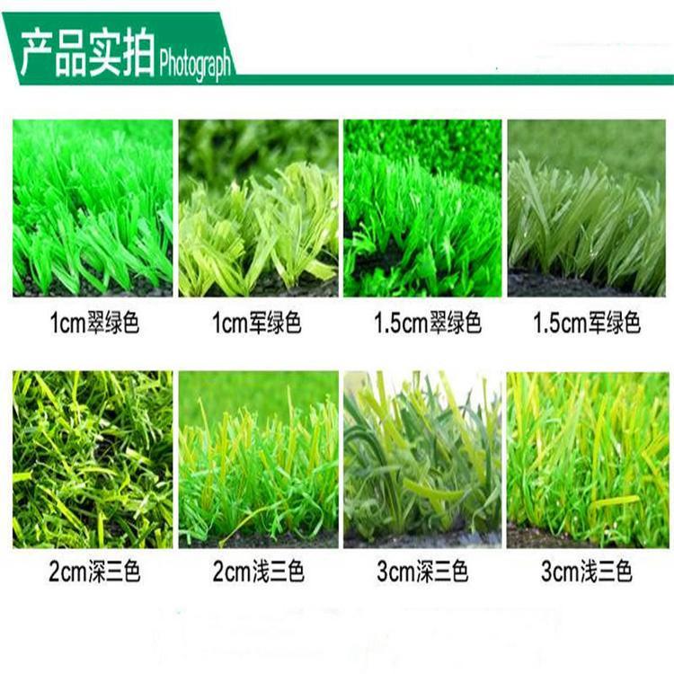 四川人造草坪 人造草坪施工 人造草坪价格