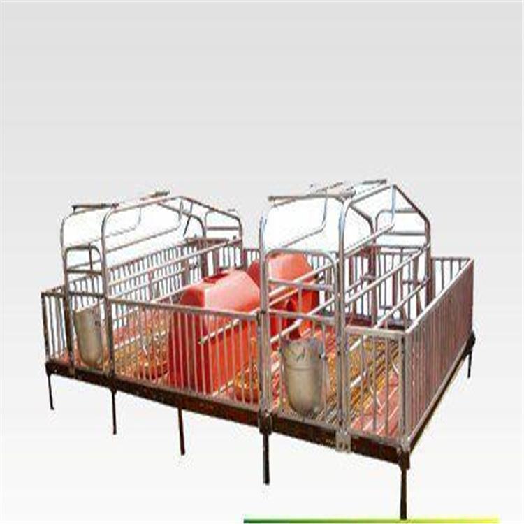 连体母猪产床河北报价出售 结实两头猪用双体产床 报价河北发货