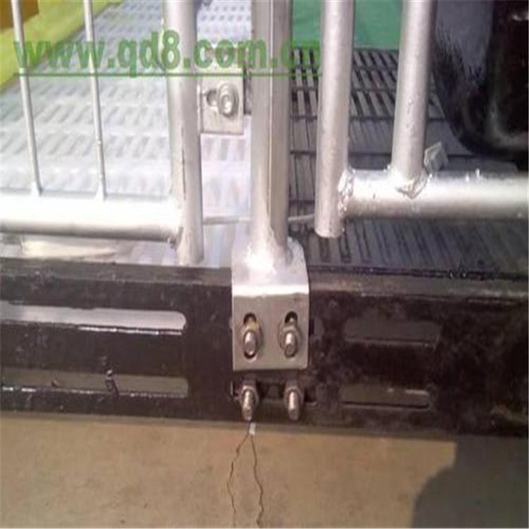 母猪产床全复合漏粪板分娩床定位栏保育床铸欣厂家直销