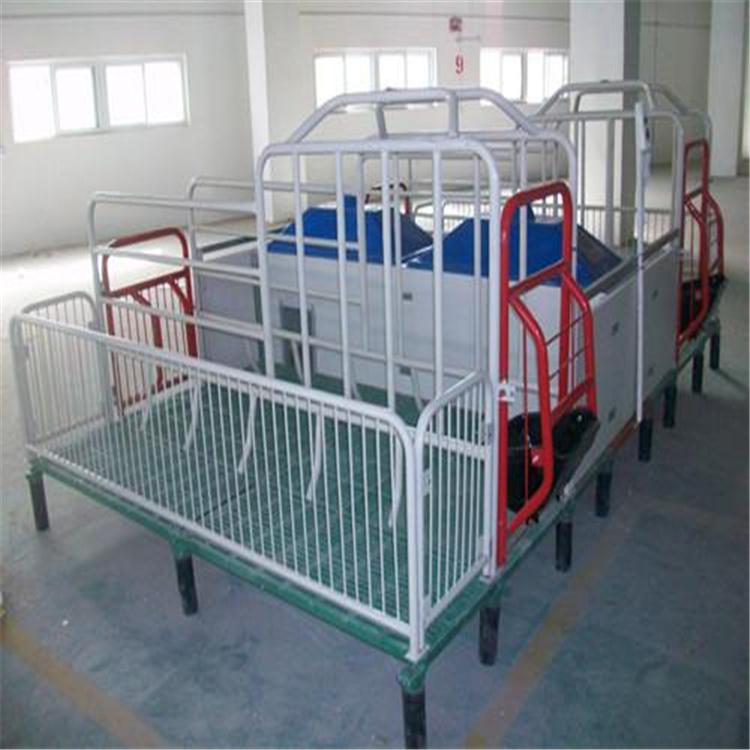 源头工厂 加厚母猪产床 产保一体母猪产床生产加工