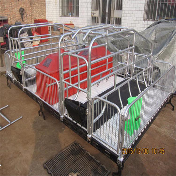 现货销售母猪定位栏10母猪限位栏带10个钢板母猪食槽母猪产床保育 养猪厂设备