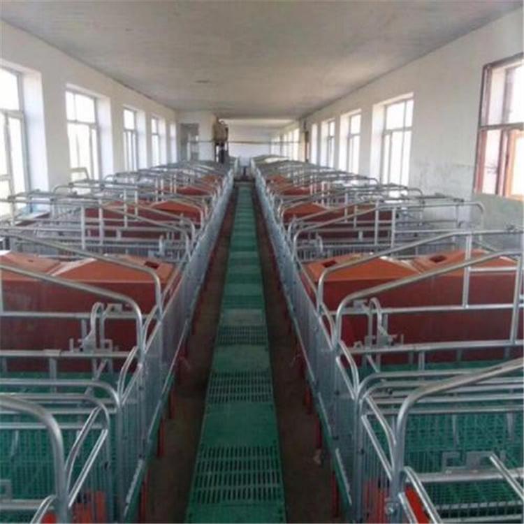 养猪设备 养猪设备产床 母猪产床 母猪分娩用产床 种类多样