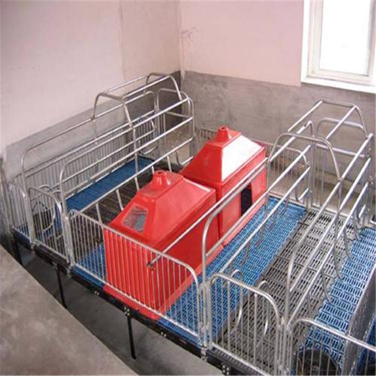 现货供应 复合板母猪产床 猪用双体母猪产床 球墨铸铁母猪分娩床