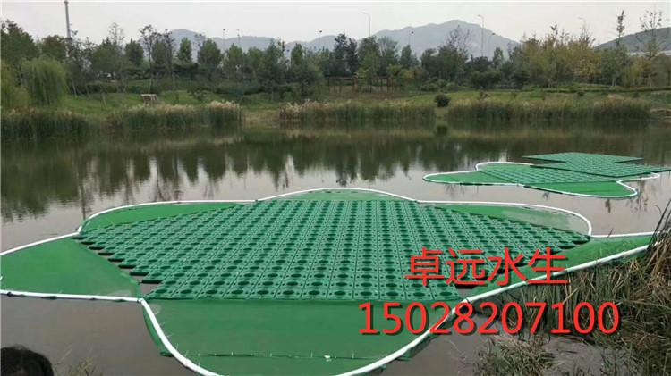 2020年 水生植物生态浮岛 人工生态浮岛 优质绿色植物