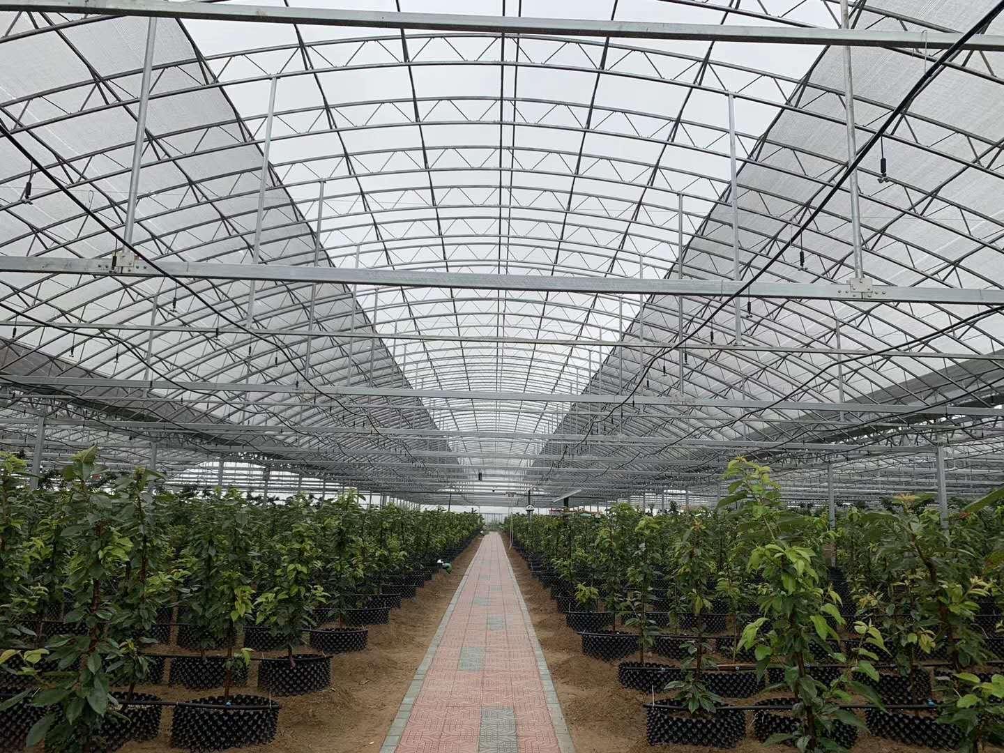 温室大棚 双模骨架拱棚  双模骨架暖棚 日光温室