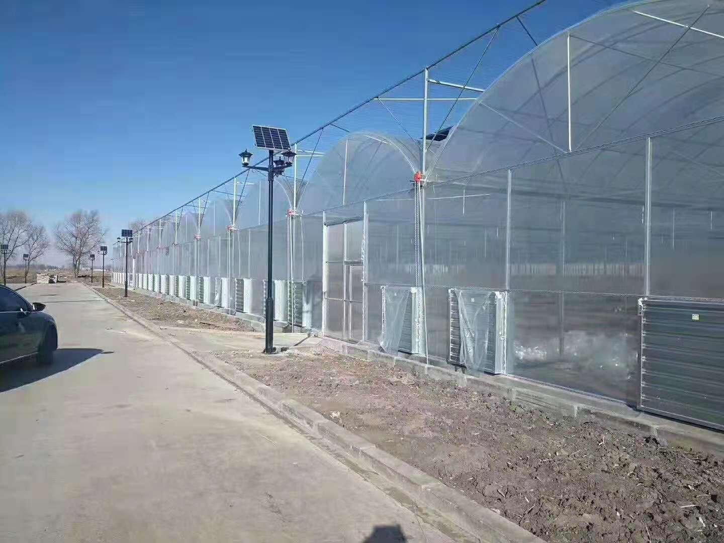 温室大棚 联栋大棚 薄膜联栋温室大棚 