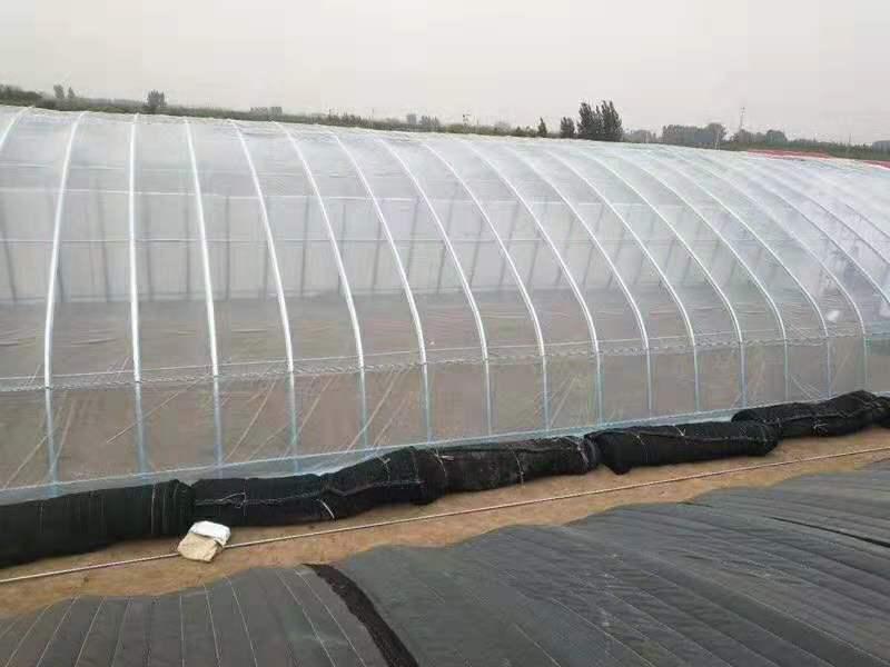 温室大棚 椭圆管拱棚 日光温室 暖棚