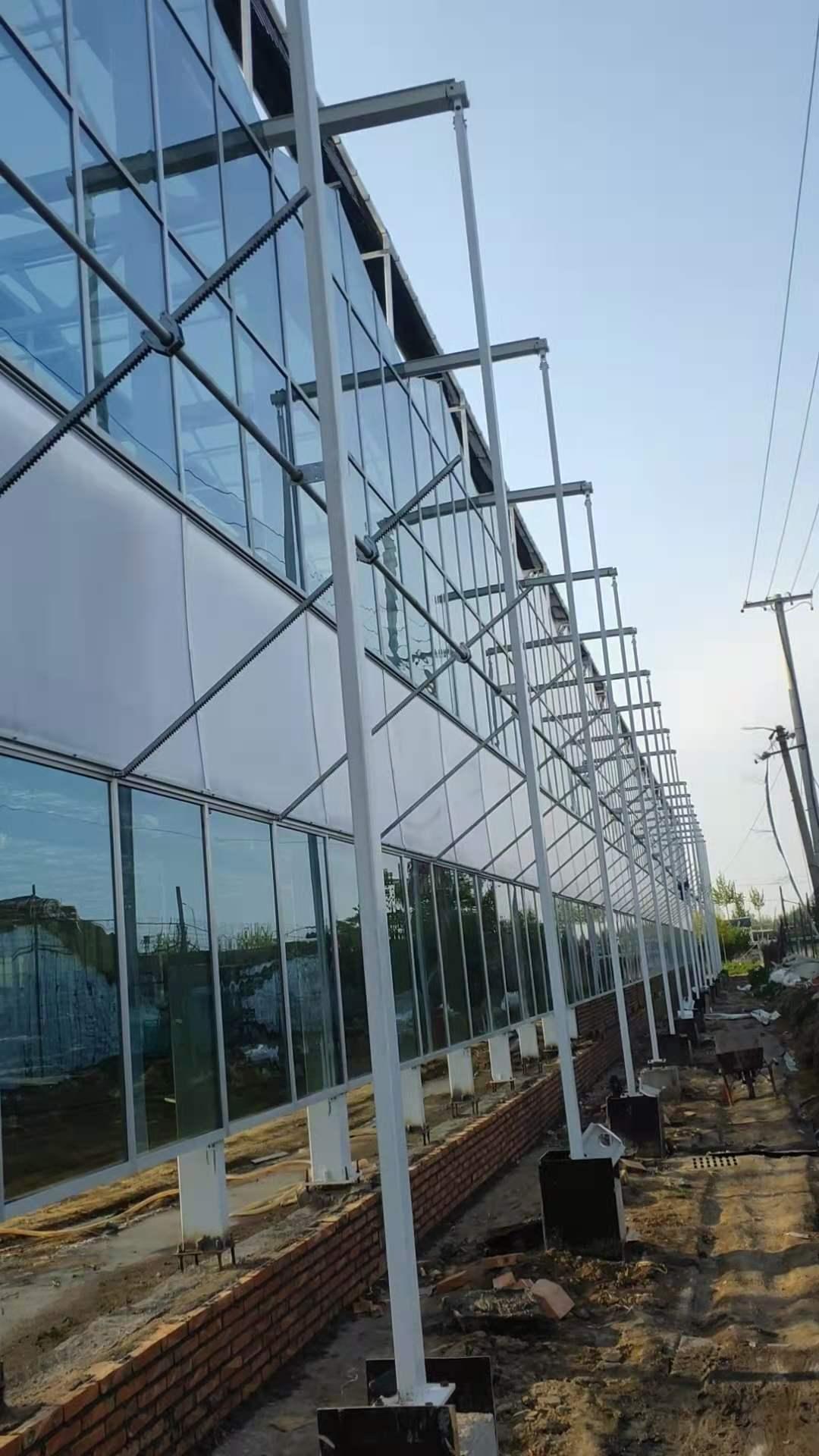 玻璃温室 纹络温室 智能温室