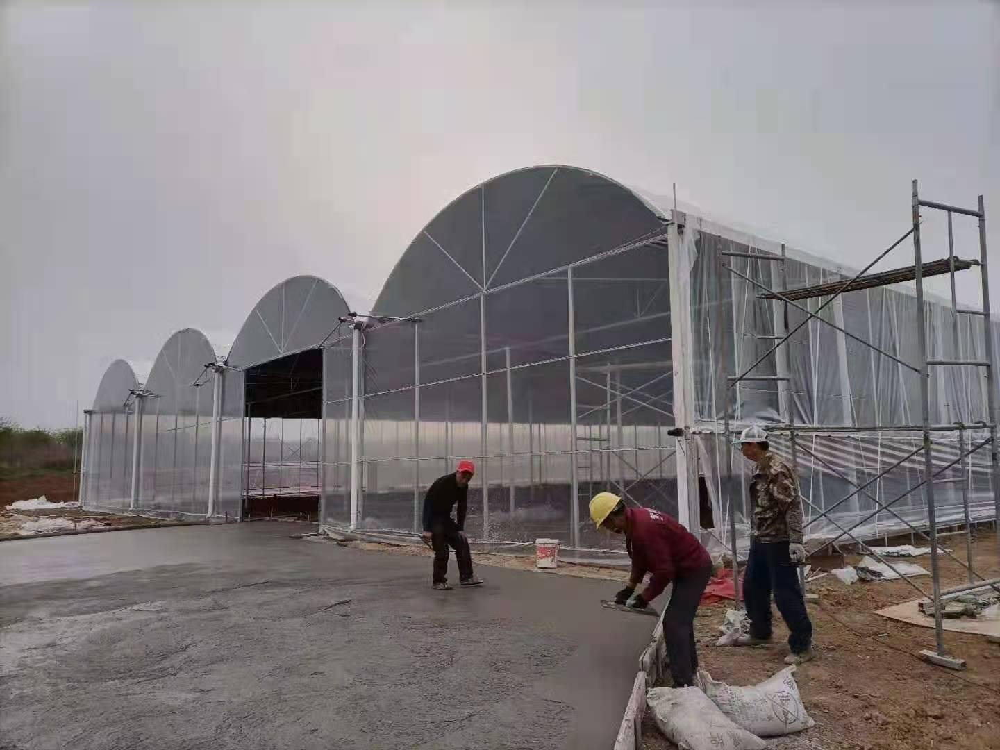 温室大棚 连栋温室 食用菌种植 