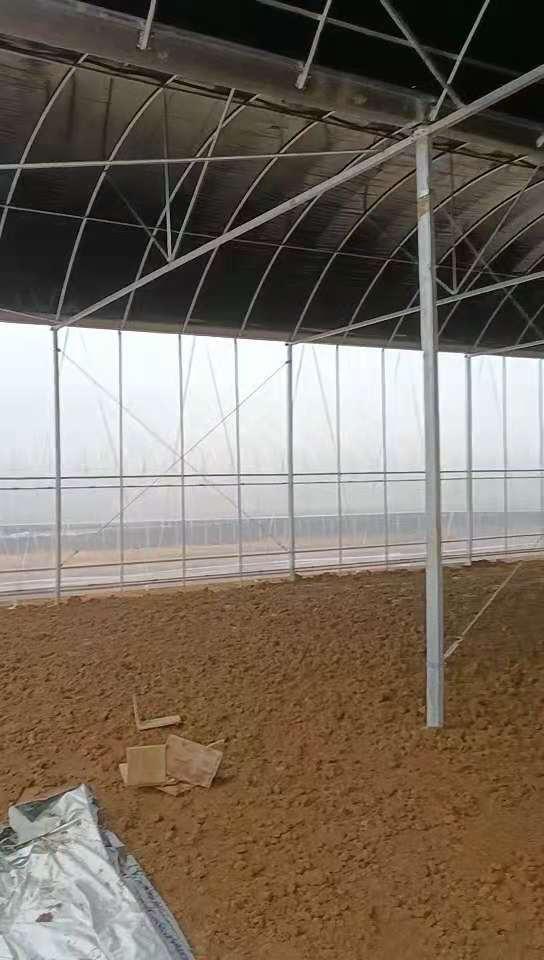 温室大棚 连栋温室 食用菌种植 