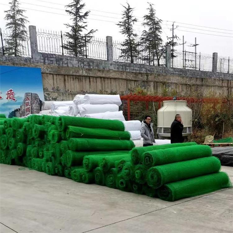 三维植被网 锦诚护坡植草三维网 三维植被网价格