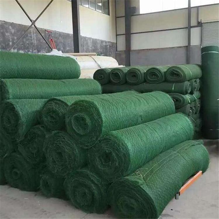 三维植被网护坡固土网三维网园林绿化土工塑料网椰丝毯垫植草加筋